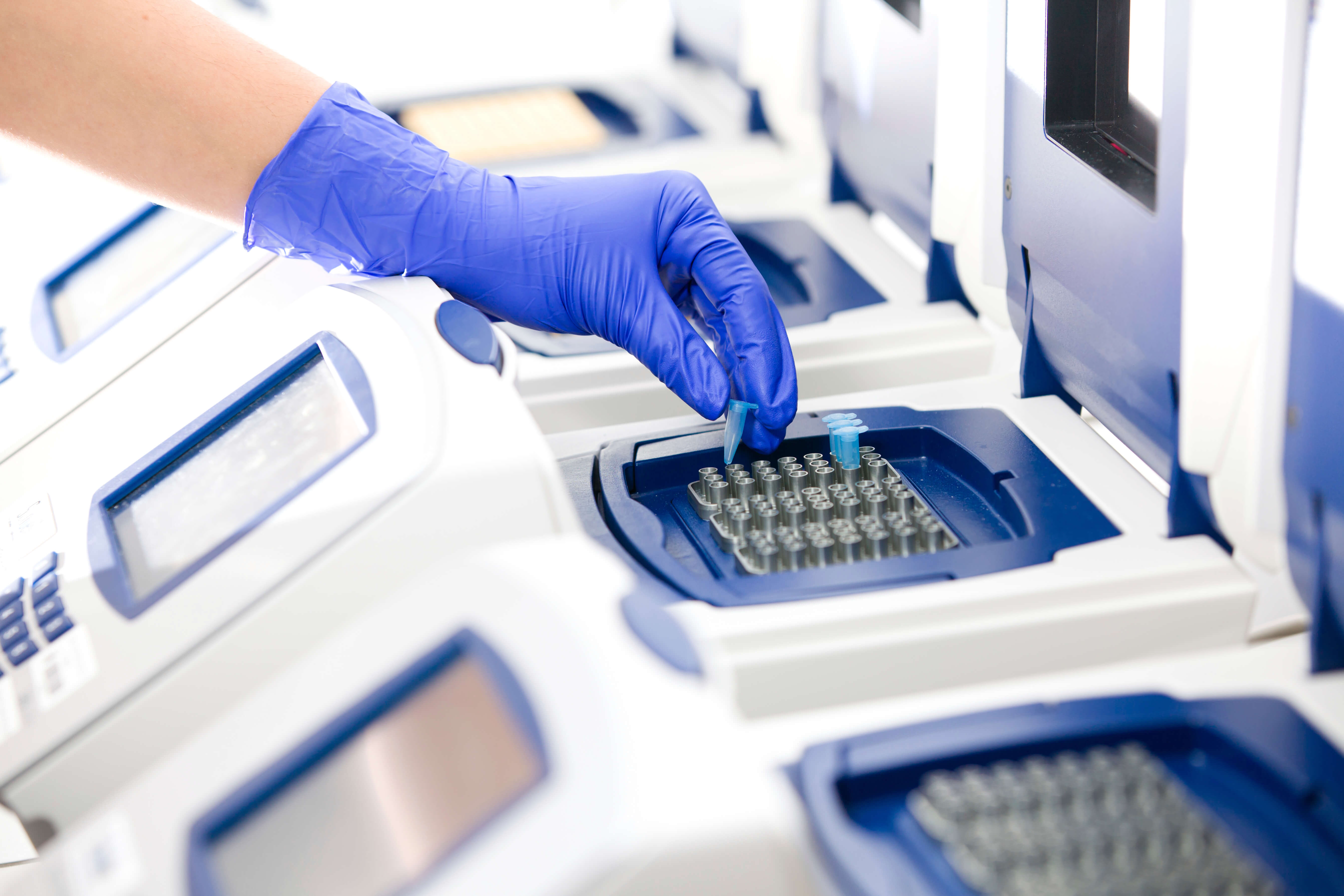 PCR testing | Applied DNA Sciences