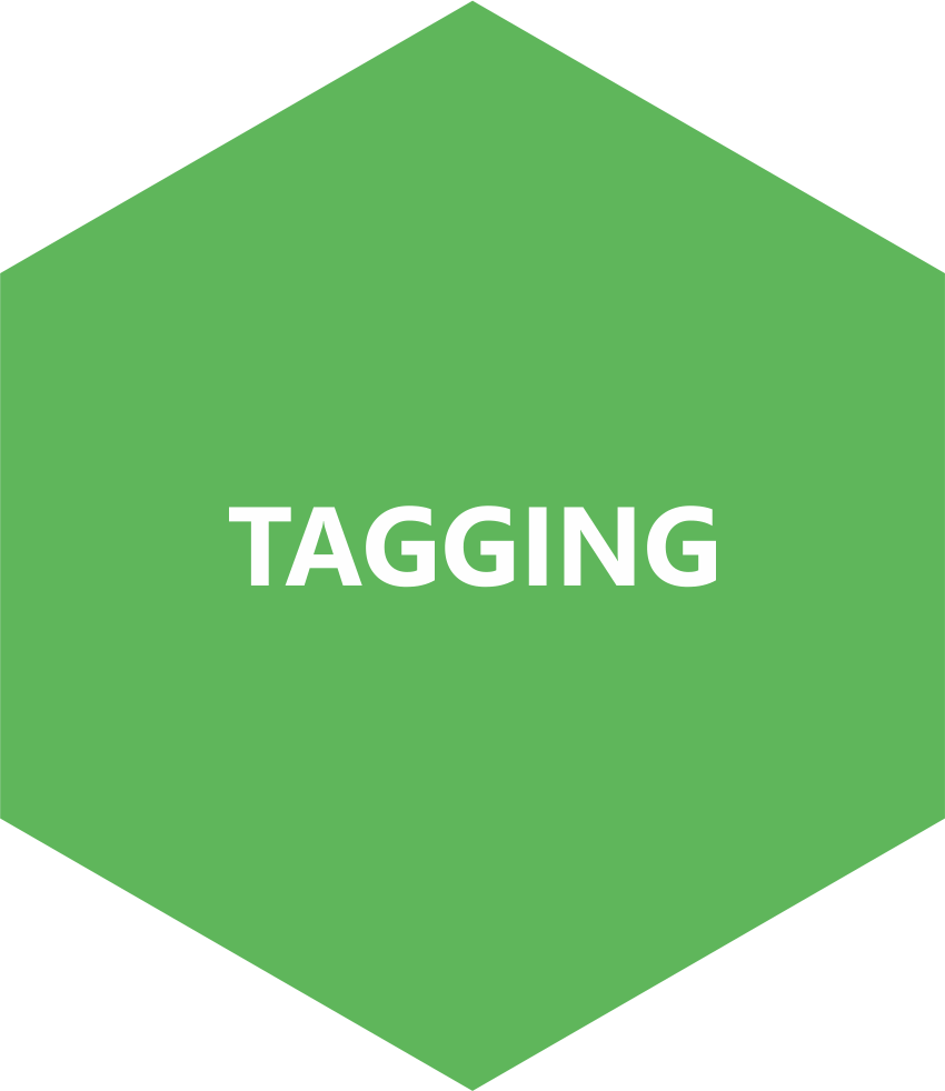 tagging