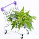 Marijuana leaves in shopping cart