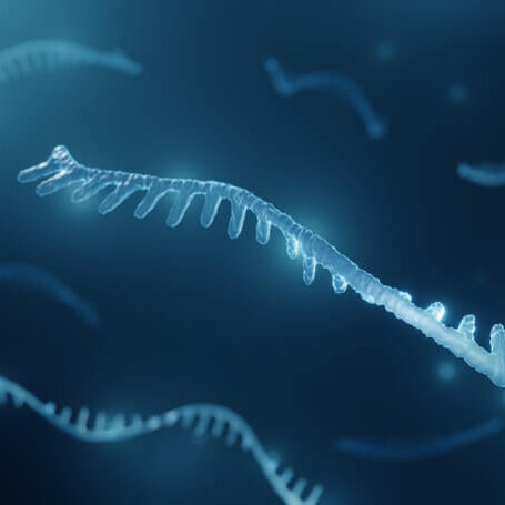 Micro RNA molecule illustration