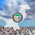 pakistan cotton traceability