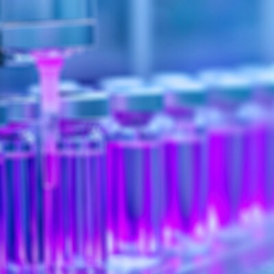 Quality GMP/Excellence